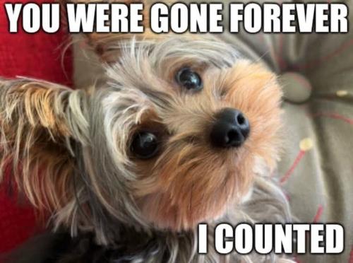 FB_IMG_1746487629742