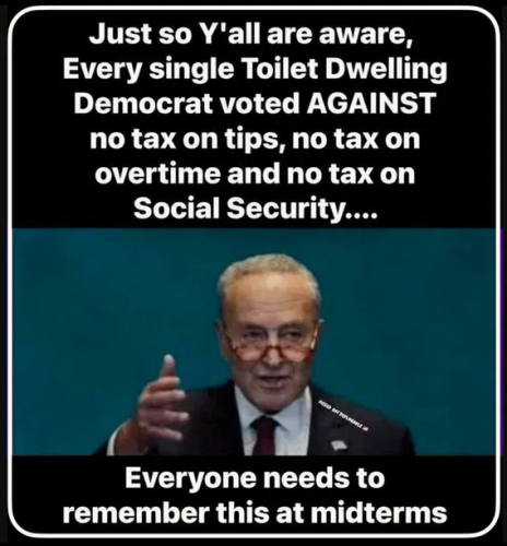 image_2025-05-27_060531332