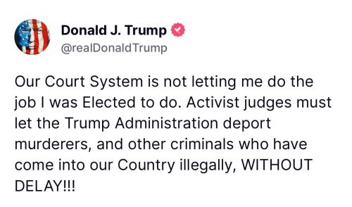 495456949_1000678332240960_8935559234023730570_n