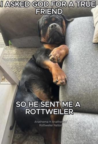 FB_IMG_1747876711943