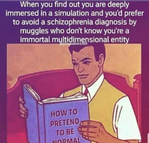 IMG_20250509_180153_318