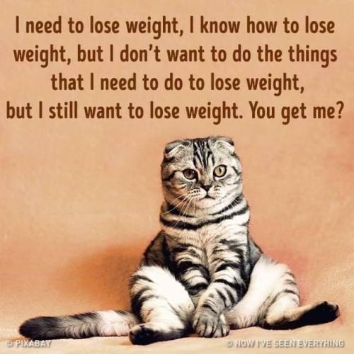 FB_IMG_1557498766016