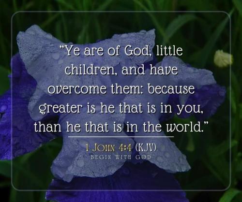 d1e3301c-0d89-41e2-addf-1ed6db4921ee