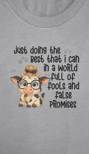 FB_IMG_1748264721700