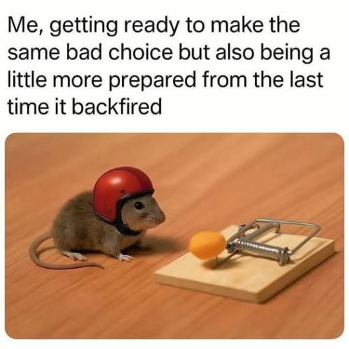 500738511_3785190191625808_318487273402427760_n
