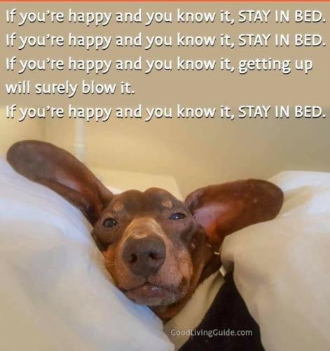 0ea9d5d07351a5a4794e7004381d5872