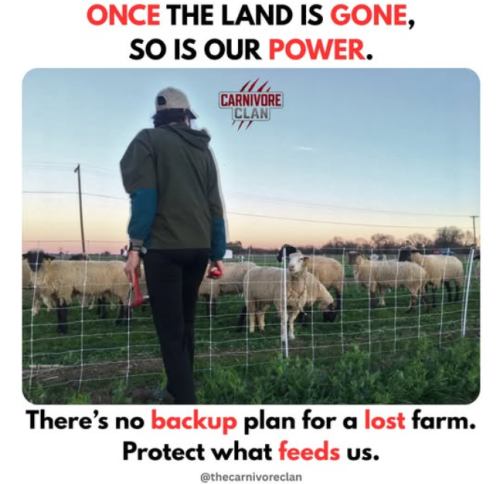 Screenshot 2025-05-16 163830