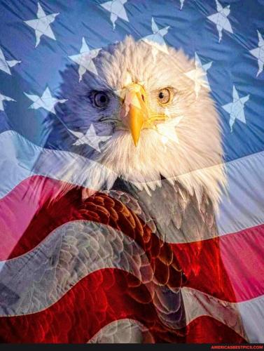 758cd13205a378e8b5c48121d279d026b2d4c1742022fc163c5c4b7d7b0e7088_1