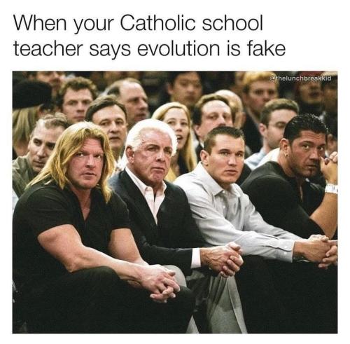 1FA49AFA-465C-4D08-8719-E2D7F85DD2AE