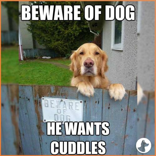 FB_IMG_1747232229210