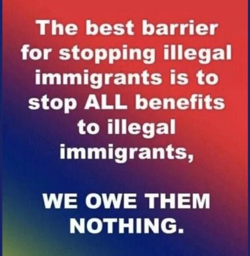 illegal alien bennies