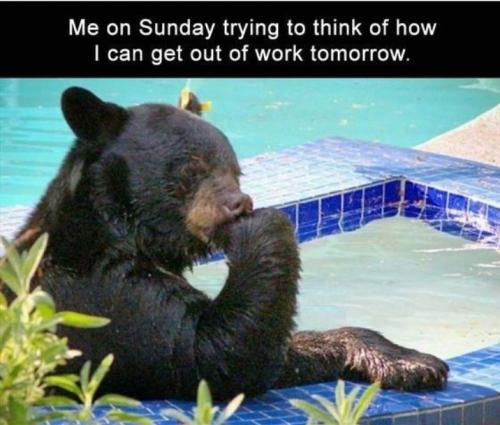 Screenshot_20250503_184857_Gallery