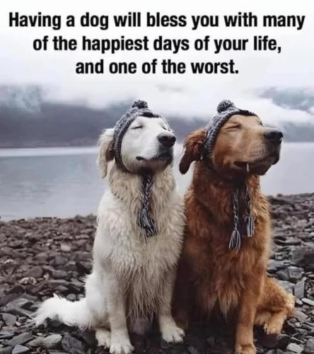 FB_IMG_1746137038657