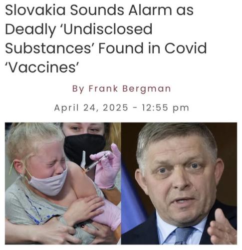 493241268_1234647452001759_319488791592702102_n