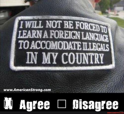 e30b4e2bc07dd9ee90afaa0db111d53c57671298f065b40a58e03f3bc3cda266_1