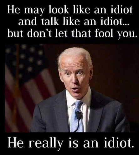 biden1749