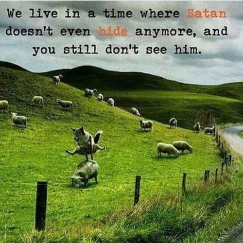 FB_IMG_1557794424230
