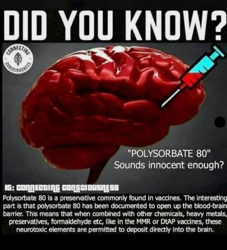 480798288_122114062034718379_6218288828248393293_n