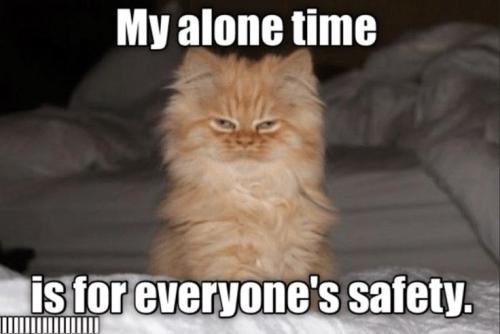 56db43ba1b9b9e740fa2a3e00caddea9