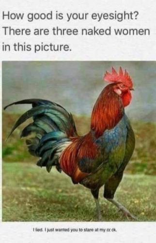 5D4DC1A9-1FA2-48A3-966E-3F20909F9B12