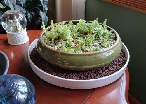 fe8c8382-99eb-434b-8f41-e70dd4424e0c