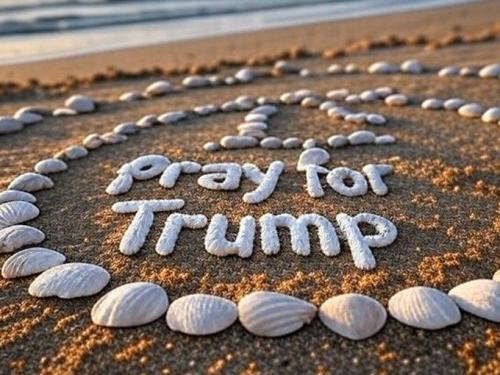 1c8eb92303b0402bdd0bfe821d4b7e18