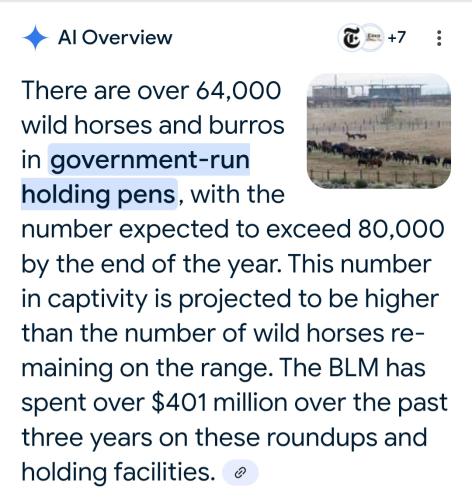 Screenshot_20250520_115605_Google(1)