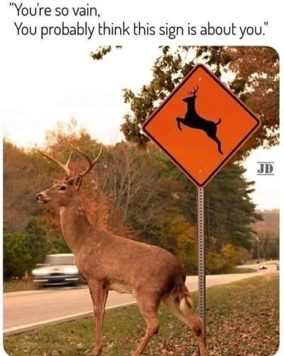 image_E115389B-64CA-475B-ABBE-D14ABA2C3960