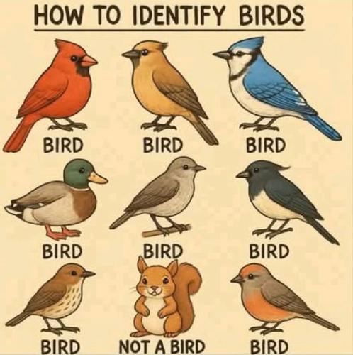 500290126_122221799252249081_3377879107309460933_n