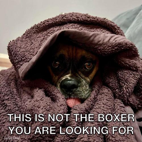 FB_IMG_1748537125555