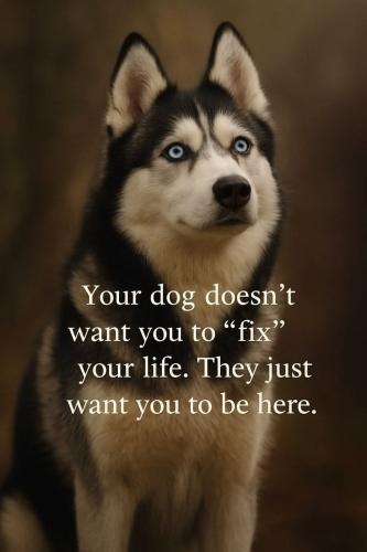 FB_IMG_1747677312386