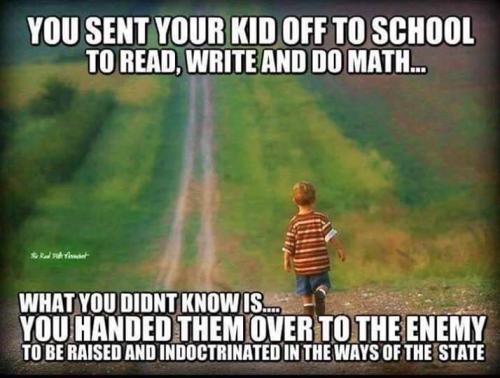FB_IMG_1557178347982