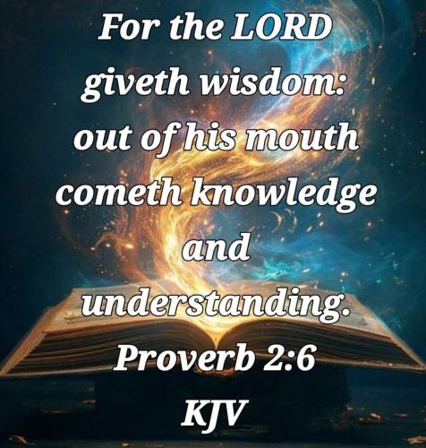 bcd389dd-06b1-4f30-8e92-36f240946abd