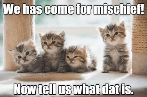 bd8ba64564597294cd6e8510e74dddaa