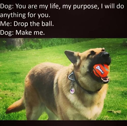 FB_IMG_1748021925998