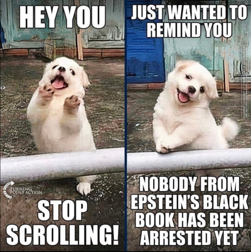 Screenshot 2025-05-27 153438