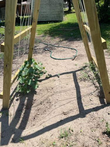 B82E3A3F-14E2-4D4F-AF5F-C92A0750535D