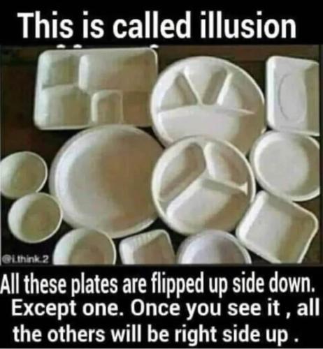 FB_IMG_1740240895680