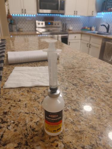 05:33:33 GMT-0500 (CDT)