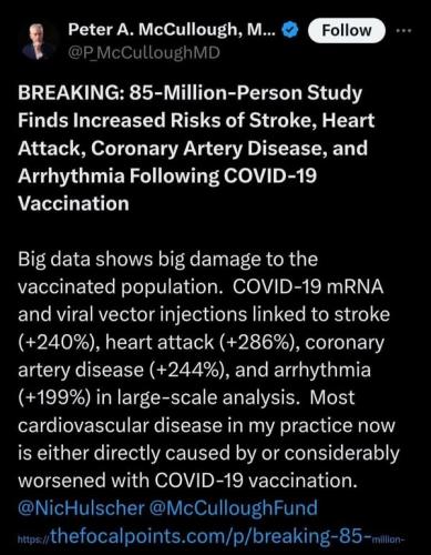 495649046_1494863828158707_5302380475438546886_n