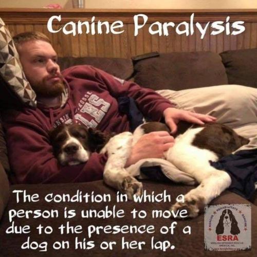 ae310a717474223bdf44816cc9062fd9 (1)