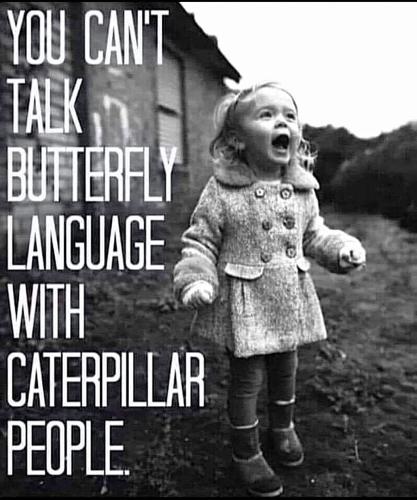 IMG_20250320_144219_662