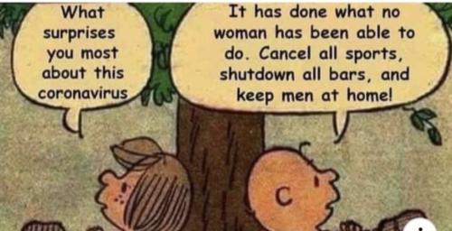 Screenshot_20250503_161230_Facebook