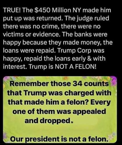 not a felon