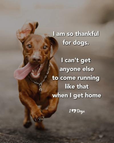 FB_IMG_1747879666755