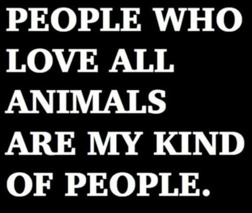 0416da73c217ba869c714790fcd8e589