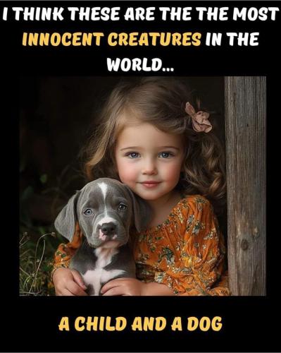 FB_IMG_1747776735530