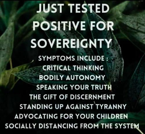 IMG_20250509_170527_857