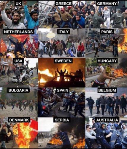 IMG_20250521_150217_424