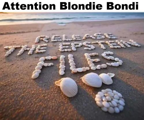 Attention Blondie Bondi release the Epstein Files.960px